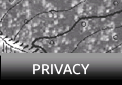 Privacy