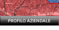 Profilo aziendale