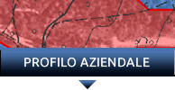 Profilo aziendale