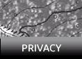 Privacy