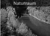 Naturraumanagement